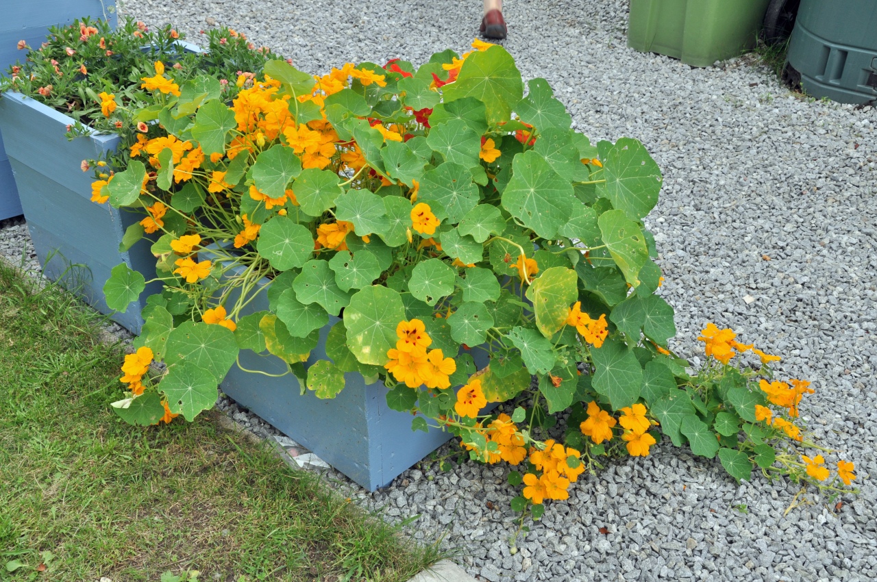 20100803-0007